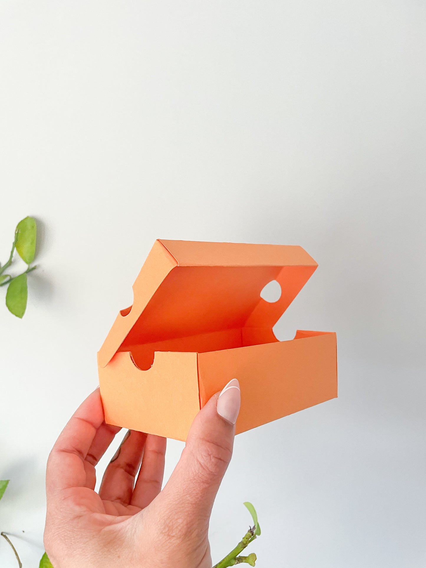 Personalized Graduation Mini Sneaker Gift Box
